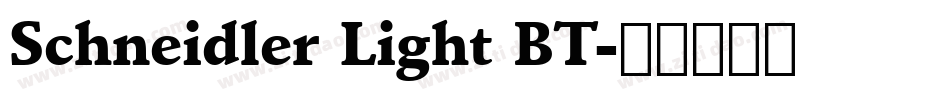 Schneidler Light BT字体转换